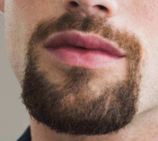 Clip On Goatee
